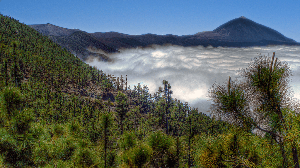 Tenerife